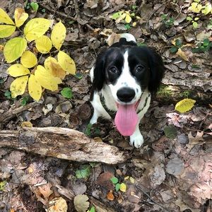 Meet your Posher, Maureen